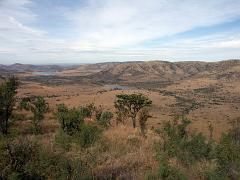 090516_Pilanesberg 184